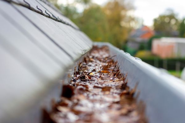 Commercial Gutter Cleaning in Louisville