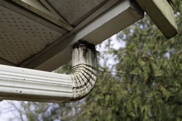 Downspout Cleaning in Louisville