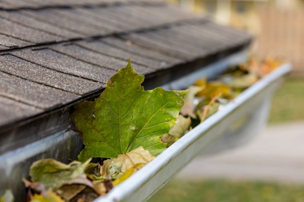 Commercial Downspout Cleaning in Louisville