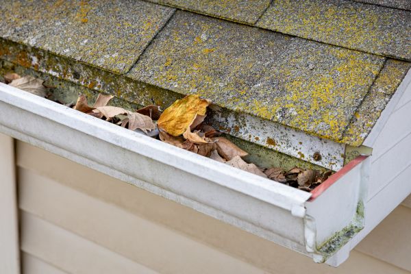 Cost of Garage Gutter Cleaning in Louisville