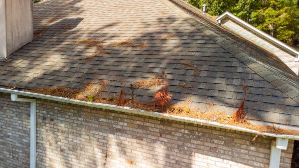 Cost of Gutter Pine Needle Removal in Louisville