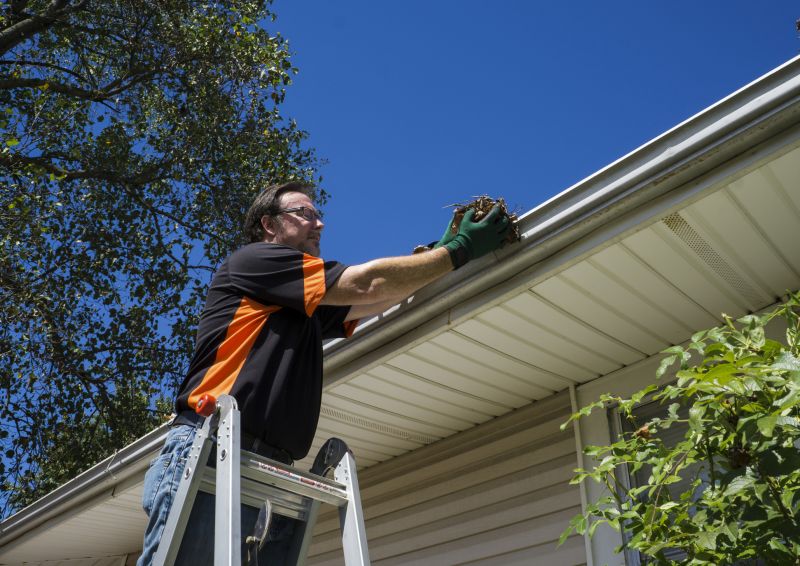Gutter Maintenance detail
