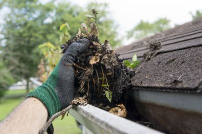 Gutter debris cleanup
