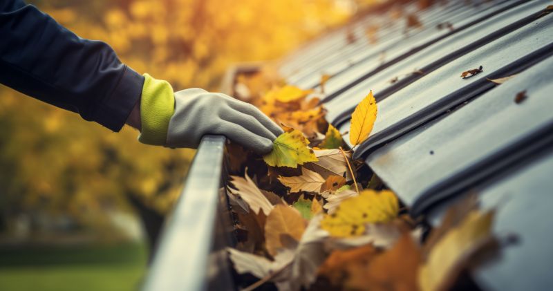 Clean gutters after fall
