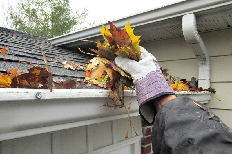 Before and After Gutter Cleaning