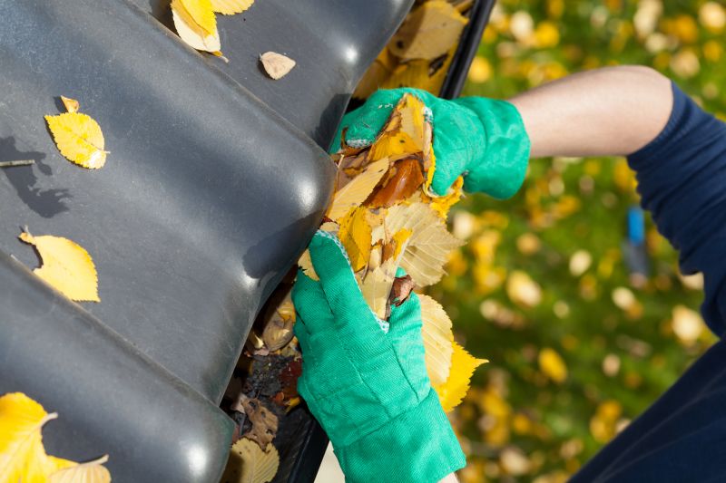 Rain Gutter Maintenance